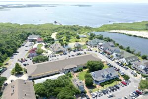 Timbuck II OBX